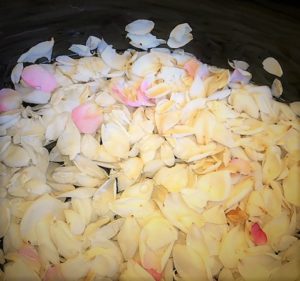 Rose Petals 